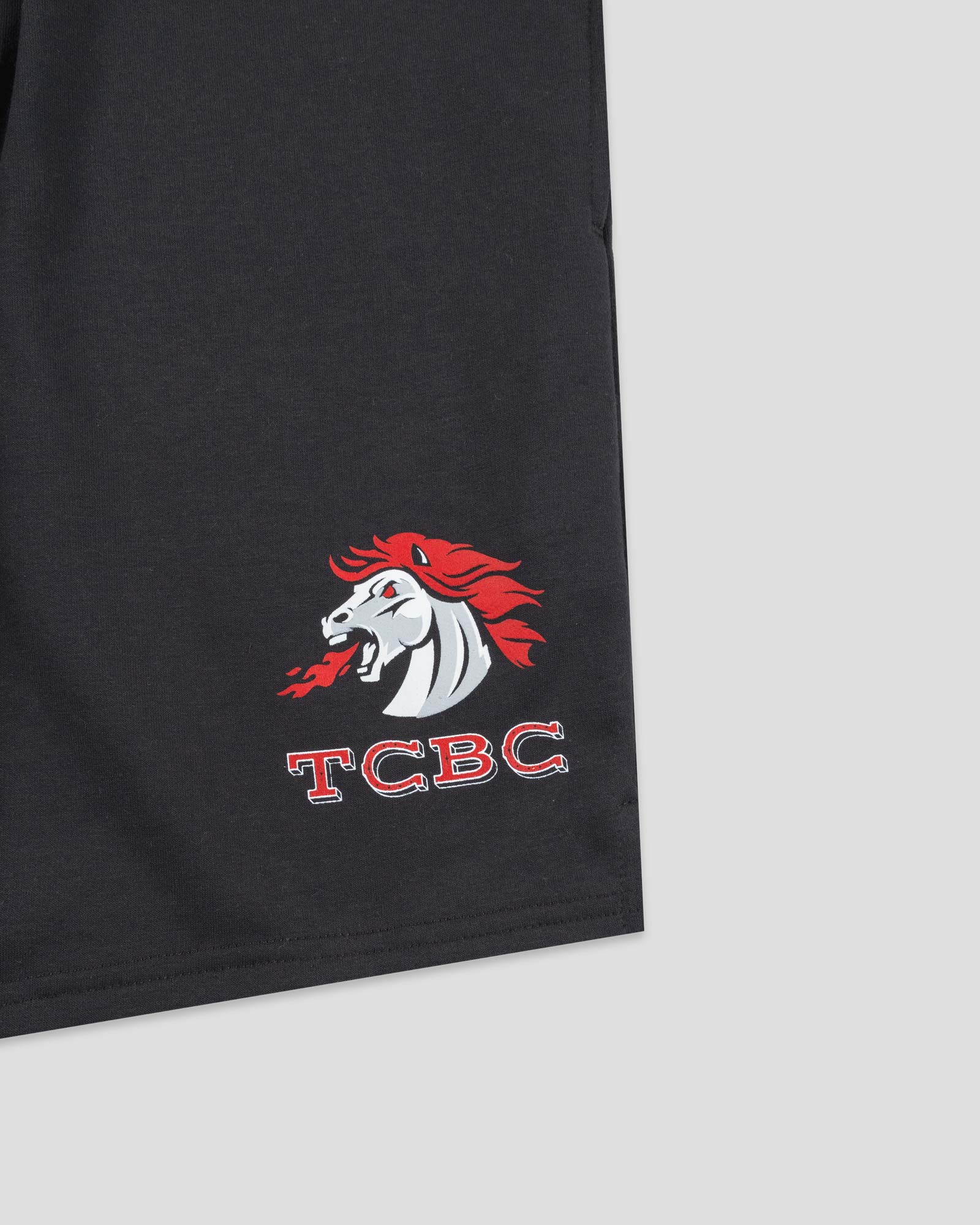 Tennessee Catholic Baptist Central Sweat Shorts Youth - Baseballism x Austin Schultz - Image 4